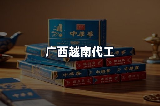 广西越南代工